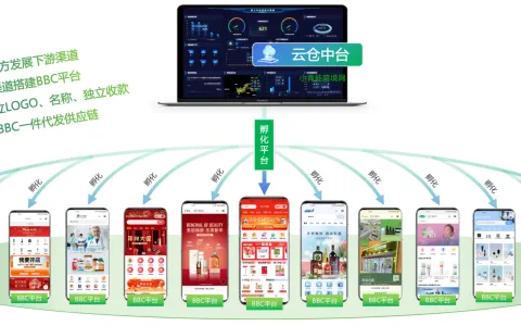 做跨境药，如何用系统搭建多品牌、多站点矩阵