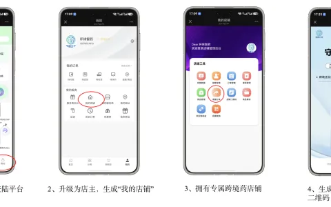 跨境医药分销体系：如何用系统实现 “放得开、管得住”
