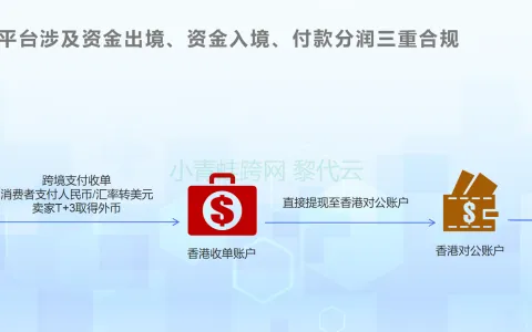 跨境医药合规四：支付必须是海外