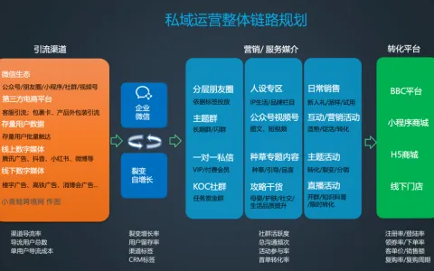 进口跨境小程序的私域运营玩法：从引流到复购的全链路