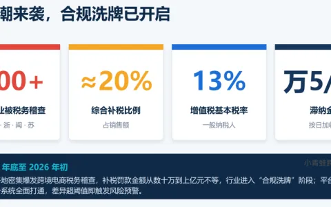 2026增值税法落地，跨境卖家必须做到五流合一，这套 SaaS 自动闭环合规证据链