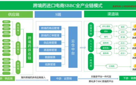 跨境进口医药电商的常见模式